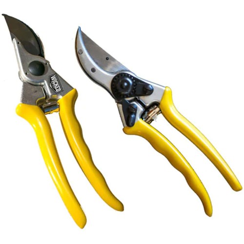 Wicked tree gear - tree,